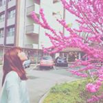 12940782_240037196384127_1909758188_a