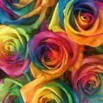 11875422_847415875307004_5754239_a