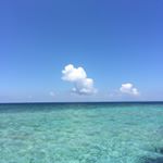 11850404_1638638709754101_2096646962_a