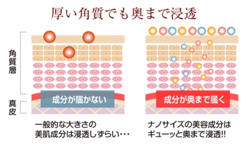 ナノ化された成分が角質に浸透