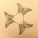 12568170_954620117957914_1266605640_a