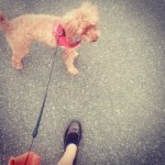 10986007_1547442098866227_103259491_a