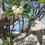 11371289_885078901570754_763370597_a