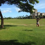 10945262_434853673347733_1165075576_a