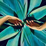 12353804_911227748926213_1778765341_a