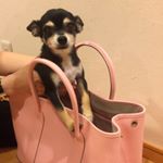 11875337_1128783623802929_622971076_a