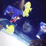 11910299_956275051098085_44600603_a