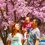 12965786_1557987337828996_658692714_a