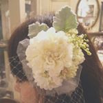 11849990_1034887263200415_516087846_a