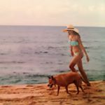 13113818_1593008054343374_2143400052_a