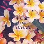 12424408_464060897116731_1551013356_a