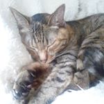 1941228_959493997453603_1026918915_a