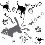 11247748_734326533362082_659175501_a