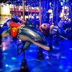 11930833_1538018696488004_28606961_a