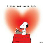 11256249_441384062697505_813877773_a