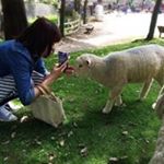 11356584_1626246320963947_940325638_a