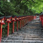 11263305_883925818340287_550448236_a