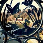 12749950_1513369915639118_743309729_a