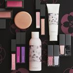 12819046_1696871933923370_1002568468_a