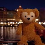 12547703_1205087619504686_128234278_a