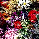 12724957_1787738044791533_73143510_a