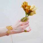 12599180_1671085986490284_996300706_a