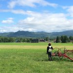 11377433_702376329866730_1367628344_a