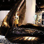 10724880_1525541664362807_277300408_a