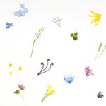 12543337_1087815701262706_1328549295_a