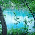 1723494_494619480721910_1150917217_a