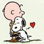 12598946_1708507909367822_770050038_a