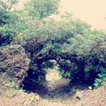 12798143_808407065969607_341420251_a