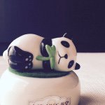 11313380_1470861263206959_1586137595_a