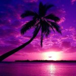 11881739_1470754683247674_1692110138_a