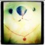 11371003_1115957455099024_1252774496_a