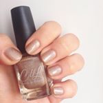 13117949_1540035249635907_1021977277_a