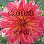 12269936_143093202720653_924642605_a