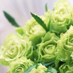 10808643_287744058083343_1265830551_a