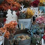 12747809_1154004384632132_528457302_a