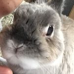 914388_1680313382211249_657274601_a