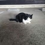 12677303_1656907754569385_1007713410_a