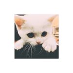 12407456_1020961701280609_291261325_a