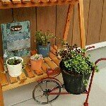 11899664_1621944384757455_484842581_a