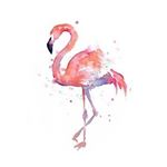 12446337_596210353867290_1477901311_a