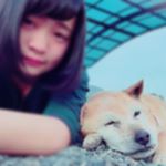 13118090_1095862697143438_809747263_a