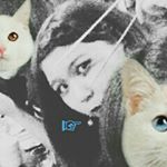 11821182_1626553734285552_1241111443_a