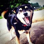 12547166_203952366619484_1188536207_a