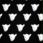 12383639_1725851397638530_736906623_a