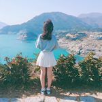 12965254_652779518195574_36121671_a