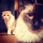 12105075_563809470435404_1614370588_a